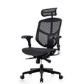 Кресла Comfort Workspace (Ergohuman)