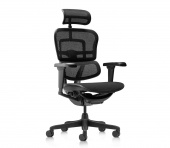 Кресло эргономическое Comfort Seating Ergohuman 2 Ultra