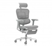 Кресло эргономическое Comfort Seating Ergohuman Elite 2