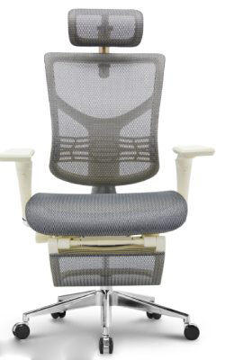 expert-star-2-footrest-gray_1.jpg