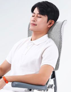 scala-headrest.jpg