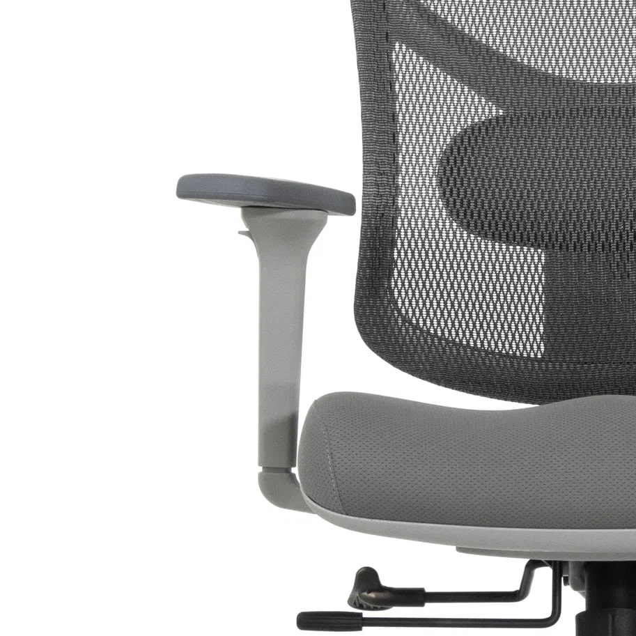 star-office-ergo-3.jpg