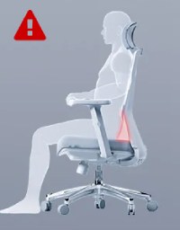 backrest_2.jpg