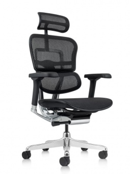 Кресло эргономическое Comfort Seating Ergohuman Elite 2