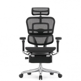 Эргономичное кресло класса люкс Comfort Workspace Ergohuman Luxury 2 с подножкой