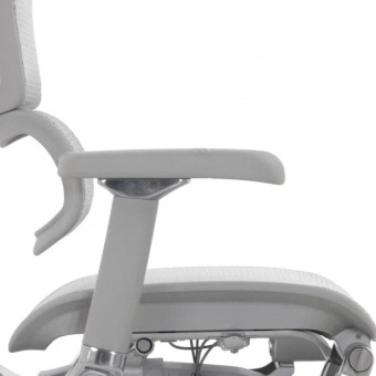 Эргономичное кресло класса люкс Comfort Workspace Ergohuman Luxury 2 с подножкой
