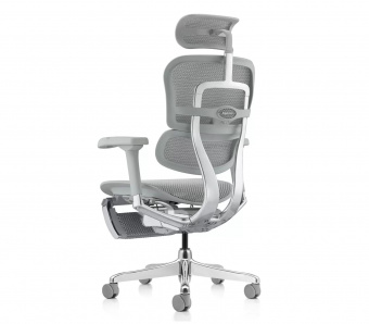 Кресло эргономическое Comfort Seating Ergohuman Elite 2