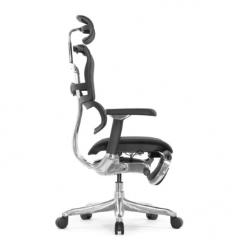Эргономичное кресло класса люкс Comfort Workspace Ergohuman Luxury 2 с подножкой